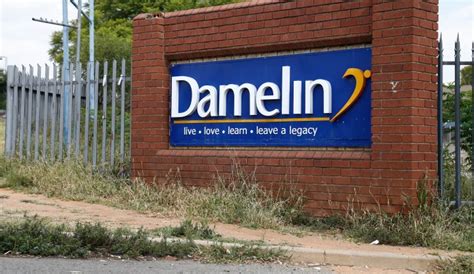 Nzimande lashes Damelin, CityVarsity, Intec and Lyceum for .
